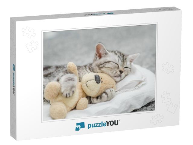 Cute Kitten Sleeping with Toy Bear... Jigsaw Puzzle