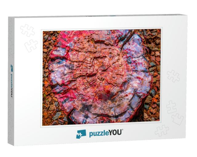 Red Blue Orange Petrified Wood Log Abstract Visitor Cente... Jigsaw Puzzle