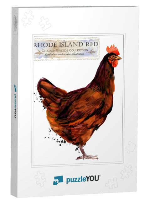 Rhode Island Red Hen. Poultry Farming. Chicken Breeds Ser... Jigsaw Puzzle