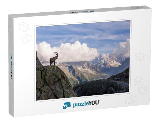 Wild Ibex in Front of Iconic Mont-Blanc Mountain Range on... Jigsaw Puzzle