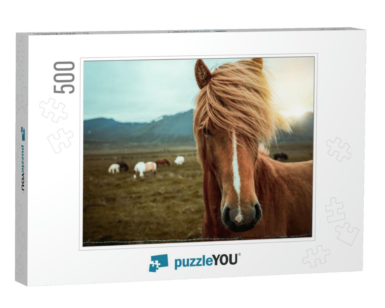 Icelandic Horse in the Field of Scenic Nature Landscape o... Jigsaw Puzzle with 500 pieces