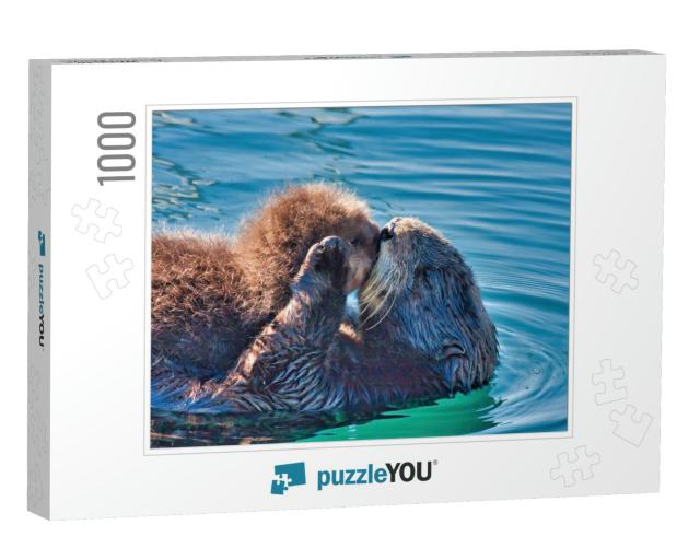 Mother Sea Otter Kissing Her Baby on the Lips... Jigsaw Puzzle with 1000 pieces