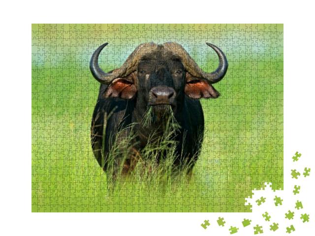 African Buffalo, Cyncerus Cafer, Standing on the River Ba... Jigsaw Puzzle with 1000 pieces