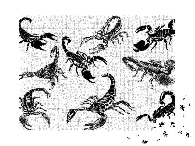 Graphical Set of Scorpions Isolated on White Background... Jigsaw Puzzle with 1000 pieces