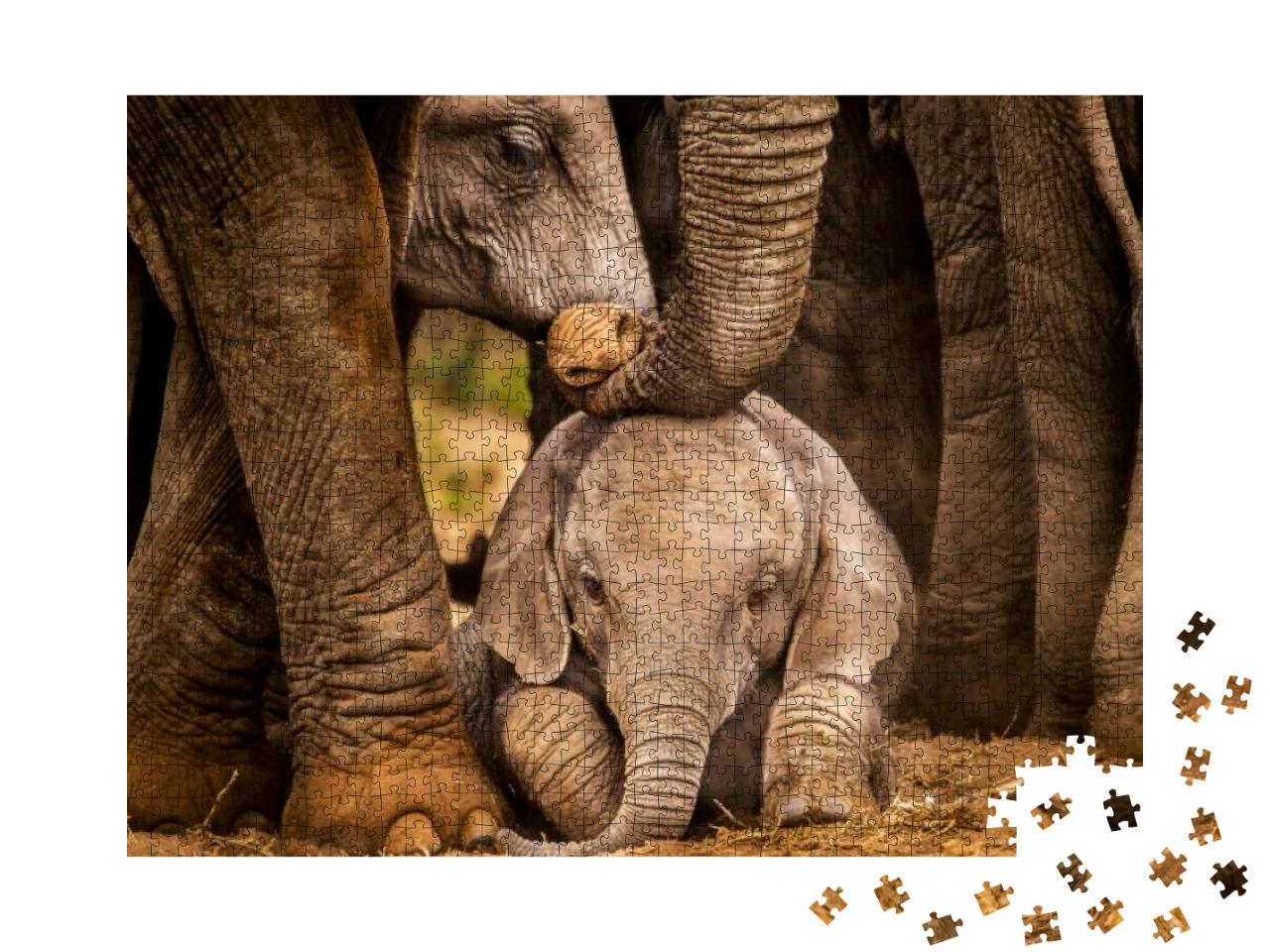 Baby African Elephant Under the Protection of the Adults... Jigsaw Puzzle with 1000 pieces
