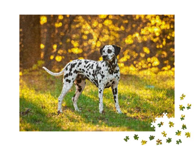 Dalmatian Dog At Sunset... Jigsaw Puzzle with 1000 pieces