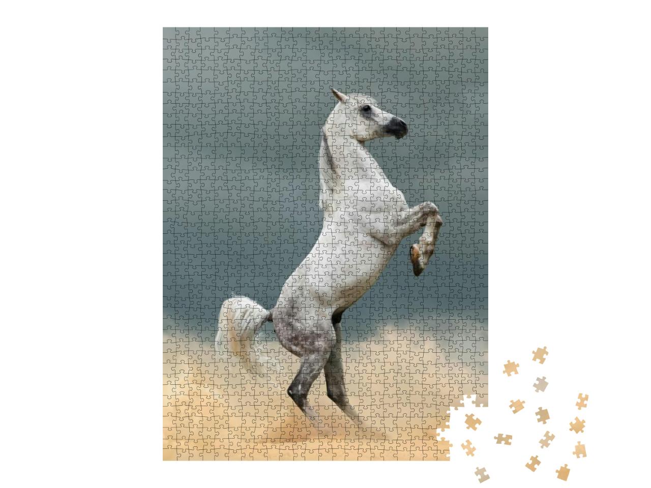 Beautiful Arabian Stallion in Prairies... Jigsaw Puzzle with 1000 pieces