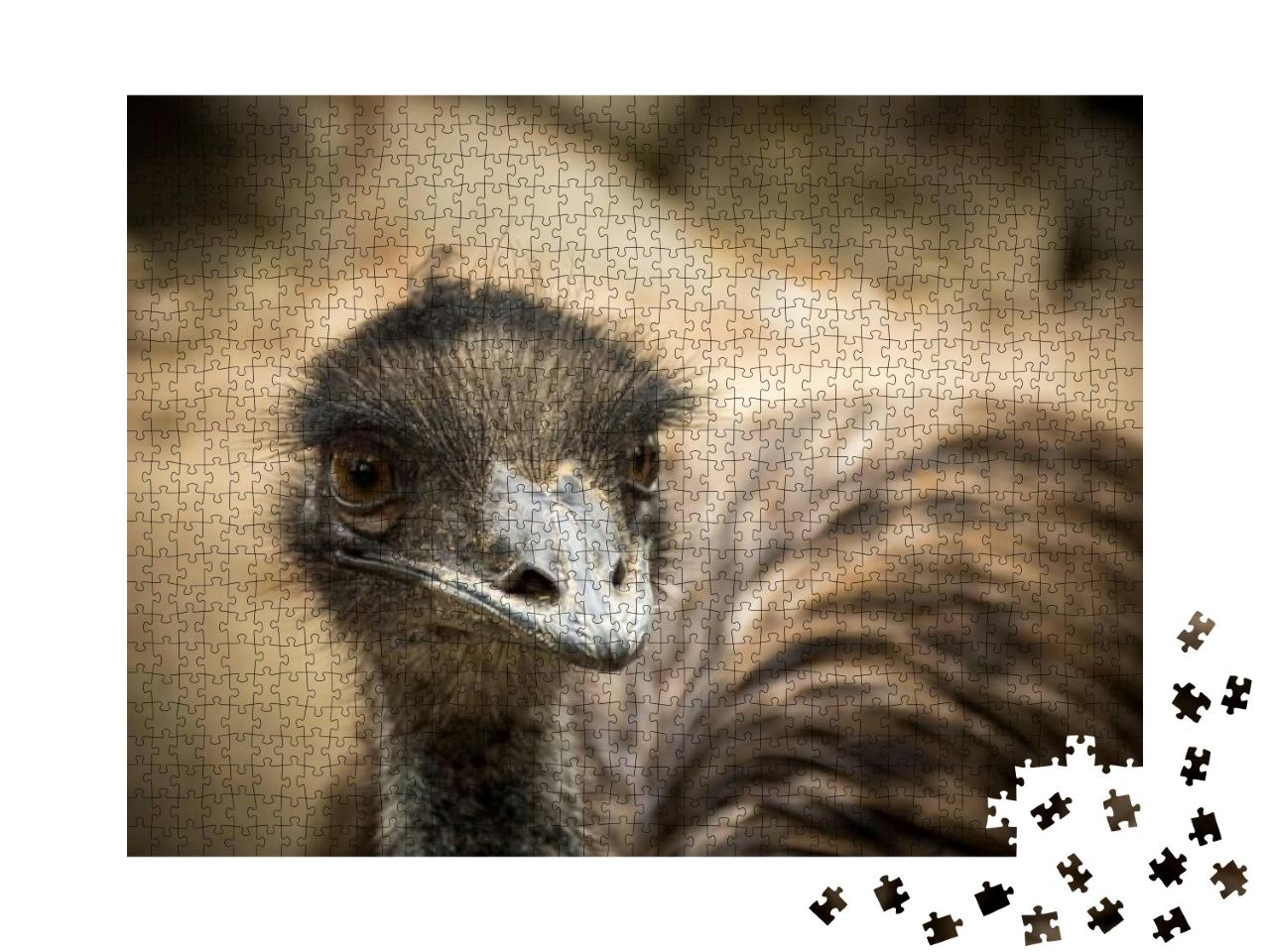 Emu Sitting Dusty... Jigsaw Puzzle with 1000 pieces