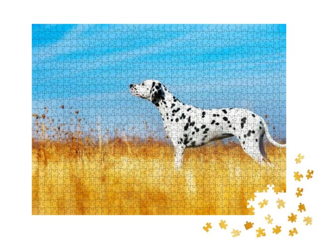Beautiful Dalmatian Dog in a Field... Jigsaw Puzzle with 1000 pieces
