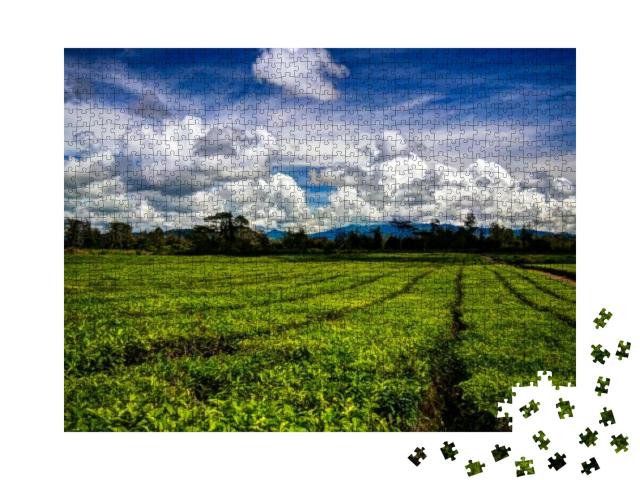 Panoramic View to Tea Plantation At Waga Valley Near Moun... Jigsaw Puzzle with 1000 pieces