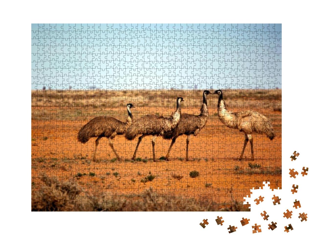 Emus in the Wild, Outback New South Wales, Australia... Jigsaw Puzzle with 1000 pieces