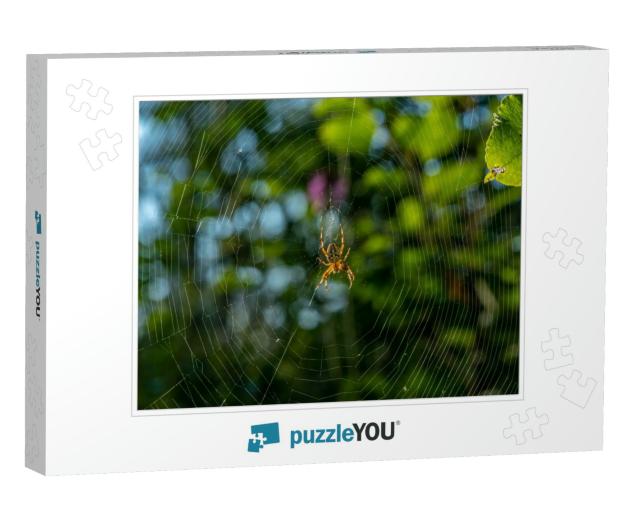 Detailed Close Up of a Large Garden Spider or Cross Spide... Jigsaw Puzzle