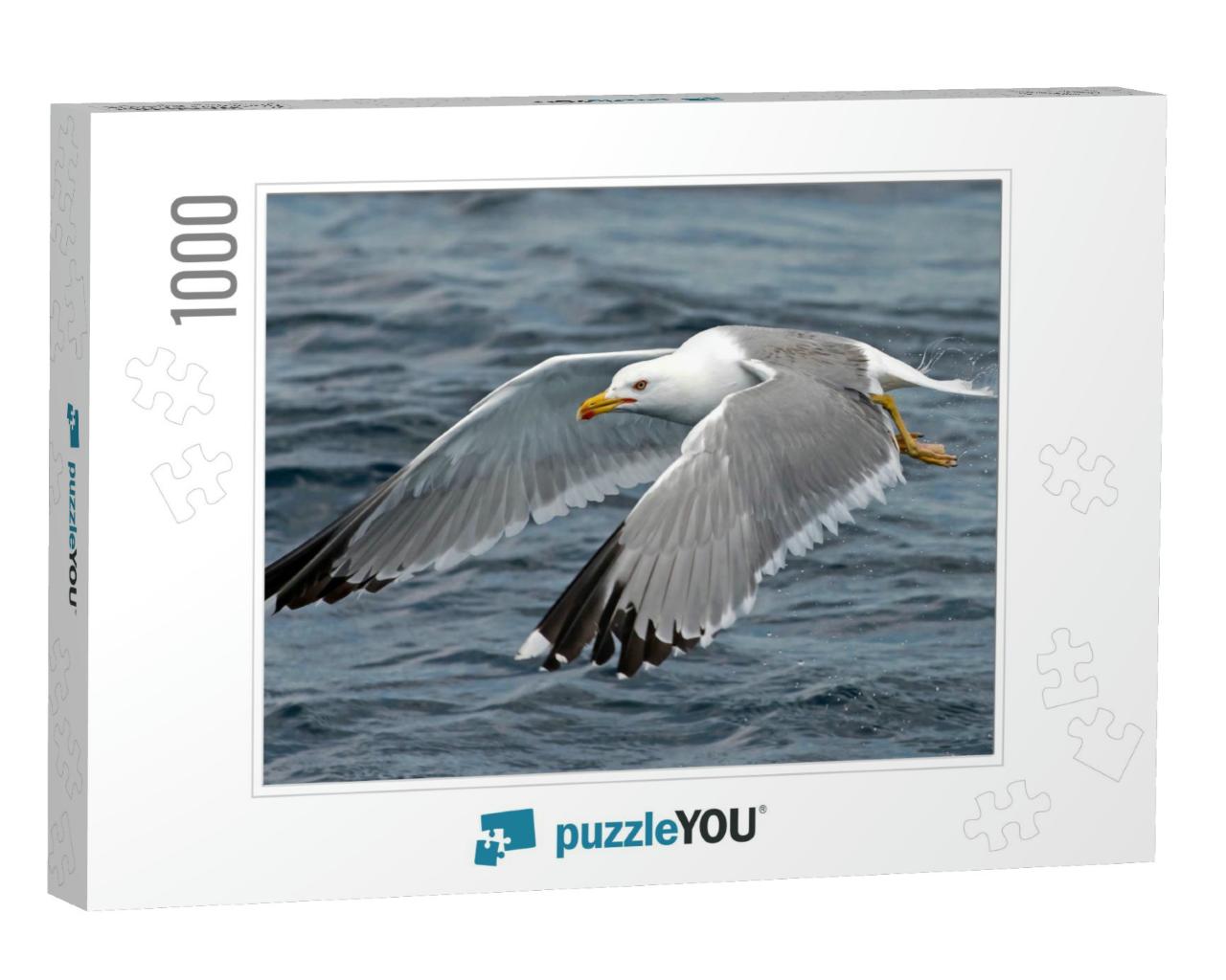 Seagull Outdoor Sea Fly Freedom... Jigsaw Puzzle with 1000 pieces