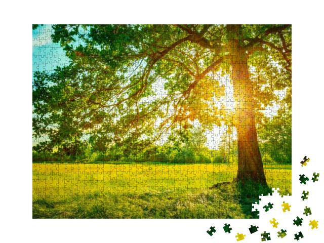 Summer Sunny Forest Trees & Green Grass. Nature Wood Sunl... Jigsaw Puzzle with 1000 pieces