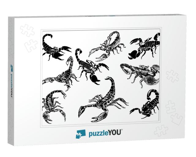 Graphical Set of Scorpions Isolated on White Background... Jigsaw Puzzle
