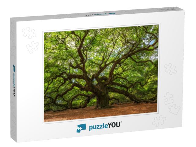 Angle Oak Tree in Johns Island, South Carolina... Jigsaw Puzzle