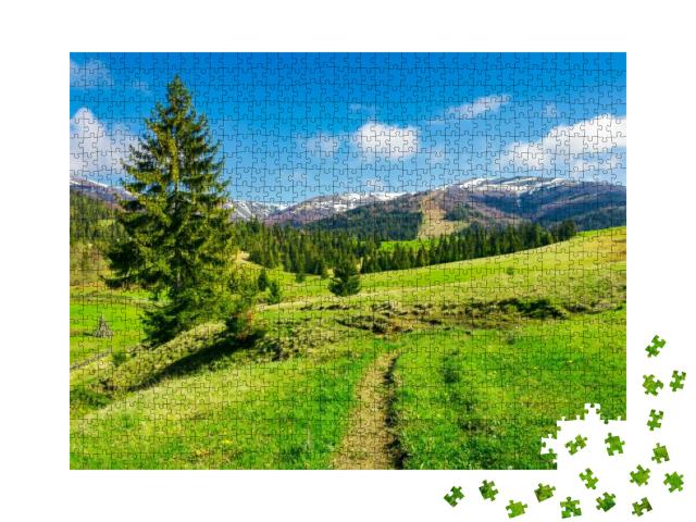 Wonderful Springtime Weather in Mountains. Spruce Trees o... Jigsaw Puzzle with 1000 pieces