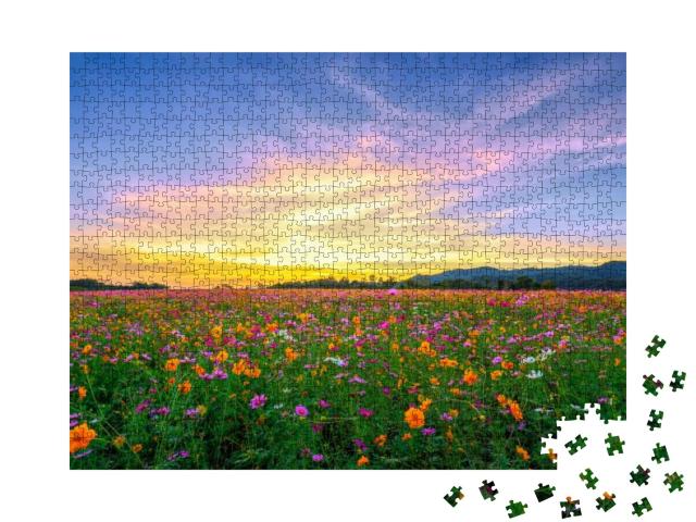 Landscape Nature Background of Beautiful Pink & Red Cosmo... Jigsaw Puzzle with 1000 pieces