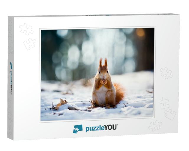 Cute Red Squirrel Eats a Nut in Winter Scene with Nice Bl... Jigsaw Puzzle