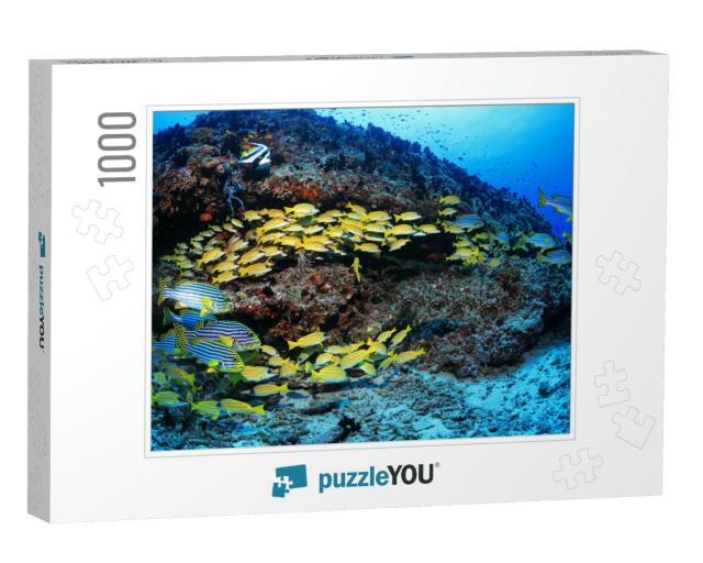 Beautiful Tropical Coral Reef & Shoal of Colorful Fish Un... Jigsaw Puzzle with 1000 pieces