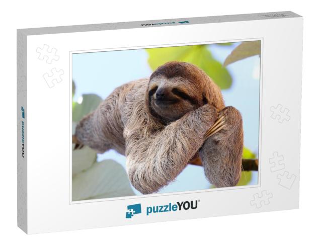 Happy Sloth Hanging on the Tree... Jigsaw Puzzle