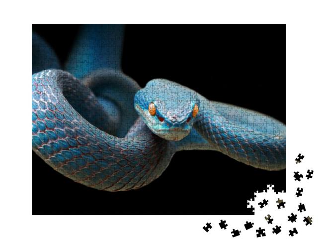 Blue Viper Snake on Branch Ready to Attack Prey, Viper Sn... Jigsaw Puzzle with 1000 pieces