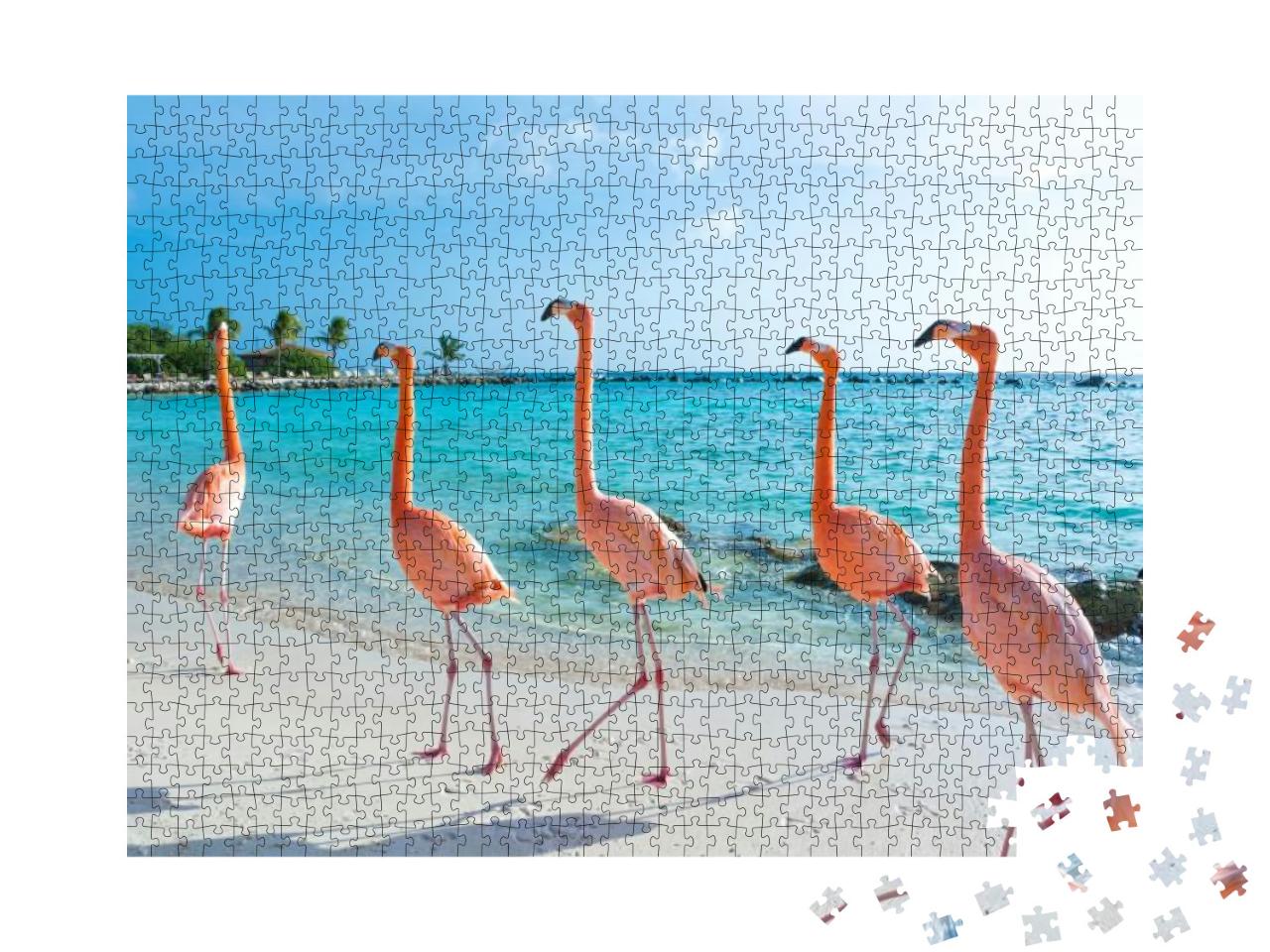 Pink Flamingo, Aruba Island... Jigsaw Puzzle with 1000 pieces