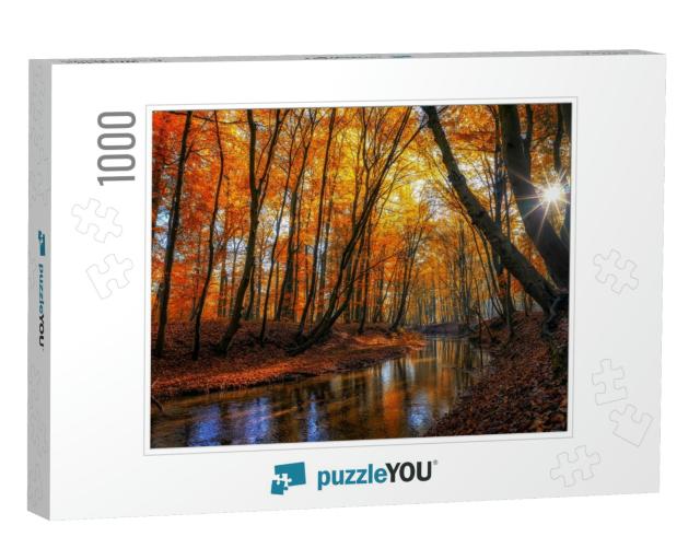 Autumn River Creek Stream in Woods. Forest Trees Landscap... Jigsaw Puzzle with 1000 pieces