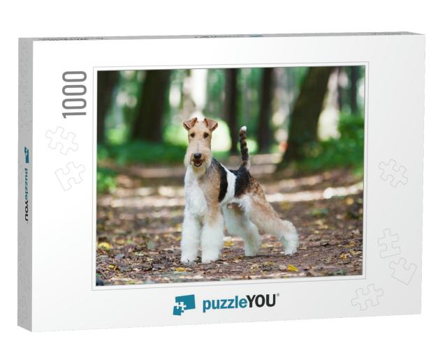 Fox Terrier in Autumn Park... Jigsaw Puzzle with 1000 pieces