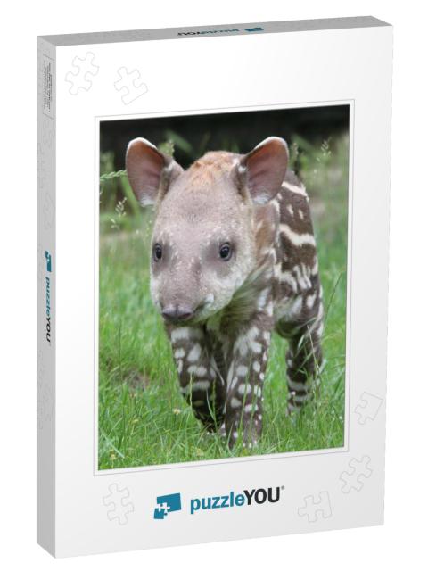 Tapir... Jigsaw Puzzle