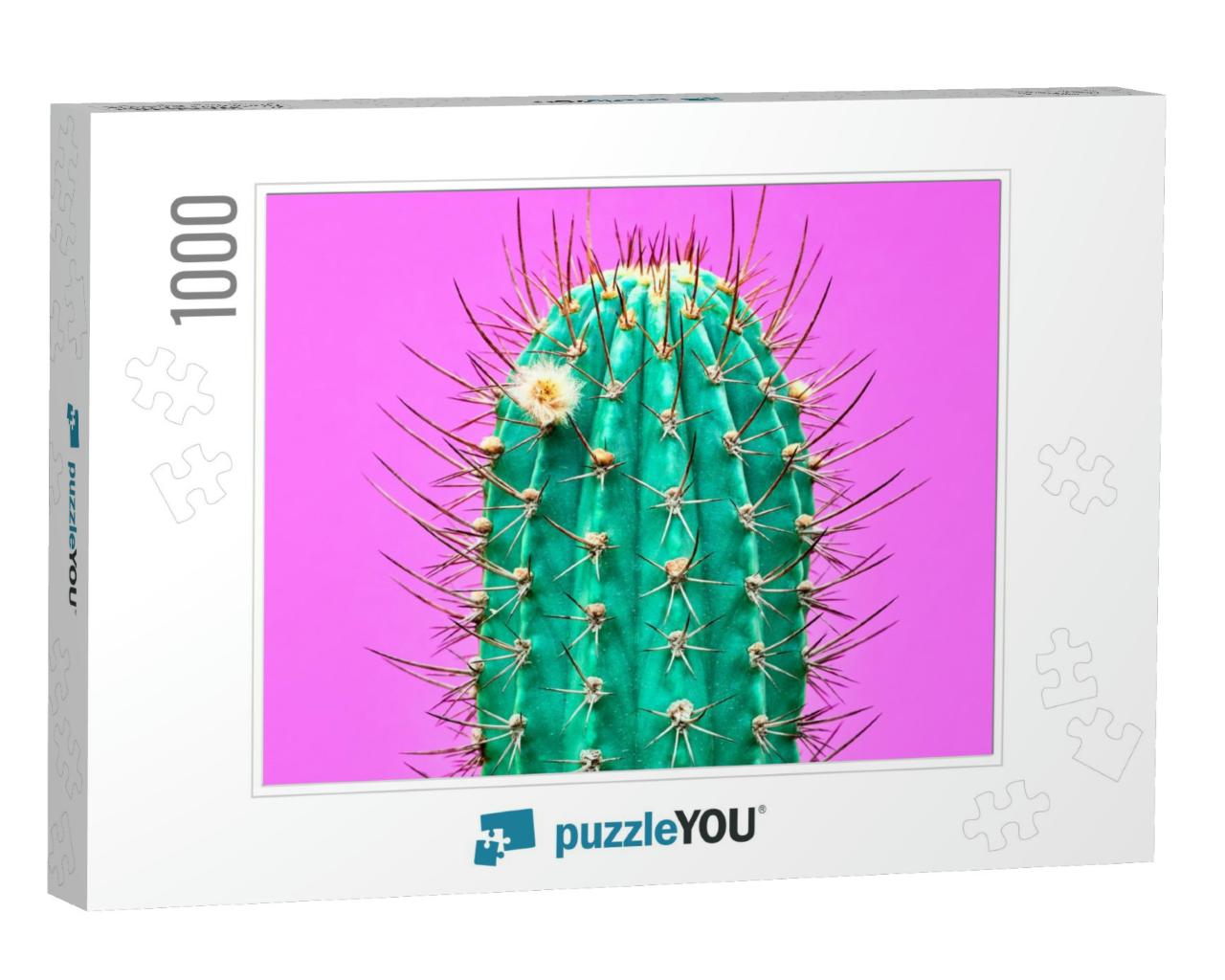 Fashion Cactus Green Colored on Pink Background. Minimali... Jigsaw Puzzle with 1000 pieces