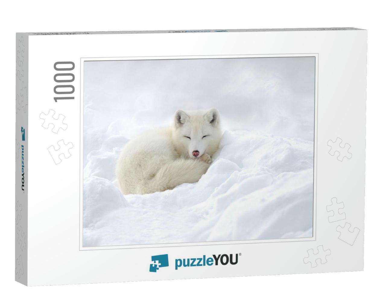 Arctic Fox in the Snow in Winter... Jigsaw Puzzle with 1000 pieces