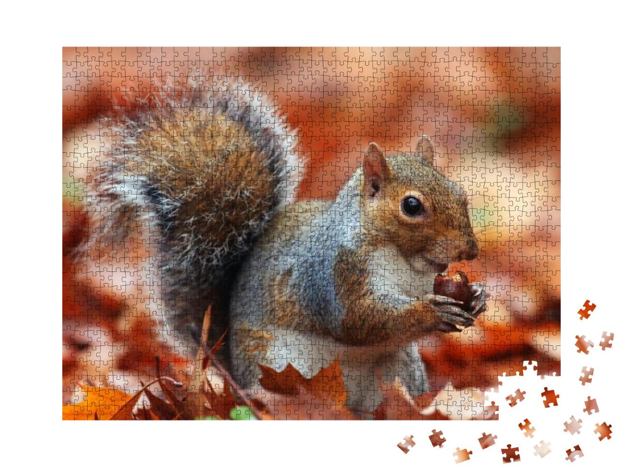 Squirrel, Autumn, Acorn & Dry Leaves... Jigsaw Puzzle with 1000 pieces