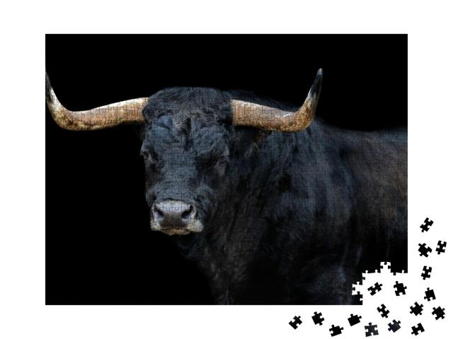 Portrait of a Bull with Black Background... Jigsaw Puzzle with 1000 pieces