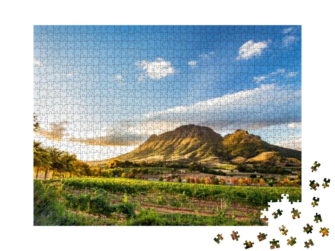 Wine Region Near Stellenbosch Looking At Simonsberg in So... Jigsaw Puzzle with 1000 pieces