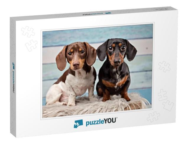 Portrait of Two Dachshunds on Blue Wood Background... Jigsaw Puzzle