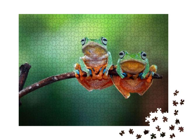 Tree Frog, Flying Frog... Jigsaw Puzzle with 1000 pieces
