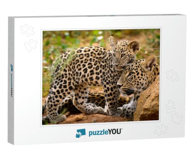 Leopard Mom & Her Cub... Jigsaw Puzzle