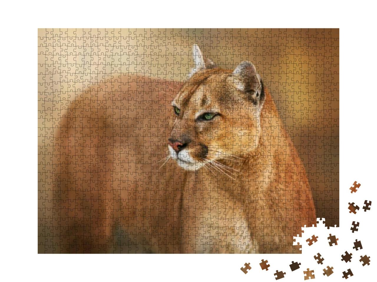 Puma Close Up Portrait with Beautiful Eyes... Jigsaw Puzzle with 1000 pieces