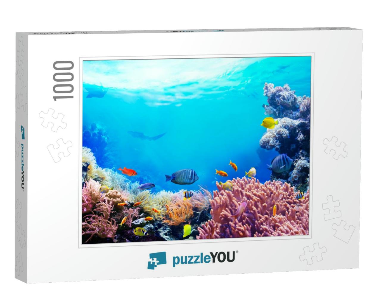 Animals of the Underwater Sea World. Ecosystem. Colorful... Jigsaw Puzzle with 1000 pieces