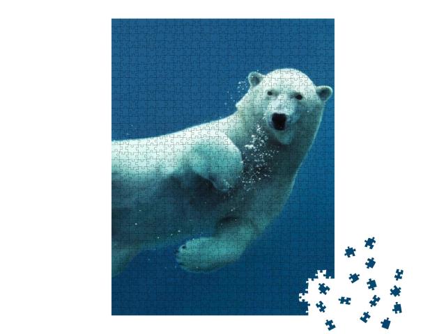 Close-Up of a Swimming Polar Bear Underwater Looking At t... Jigsaw Puzzle with 1000 pieces