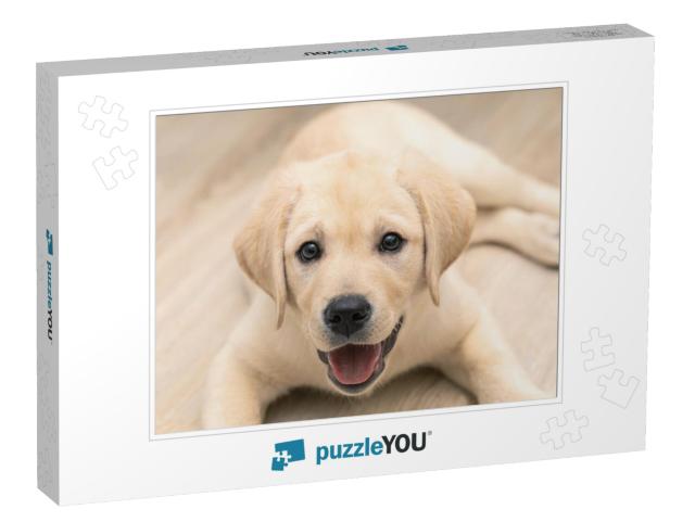 Cute Adorable Little Golden Labrador Puppy is Lying on Fl... Jigsaw Puzzle