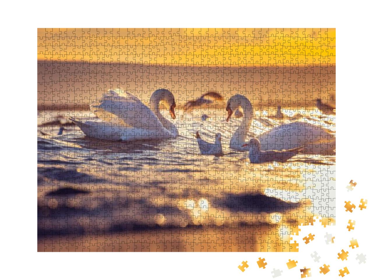 White Swans in the Sea, Sunrise Shot... Jigsaw Puzzle with 1000 pieces
