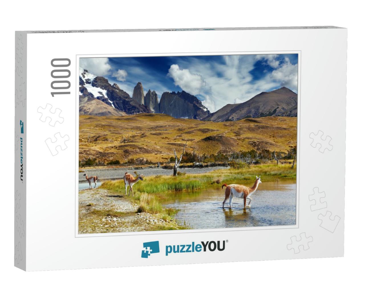 Guanaco in Torres Del Paine National Park, Patagonia, Chi... Jigsaw Puzzle with 1000 pieces