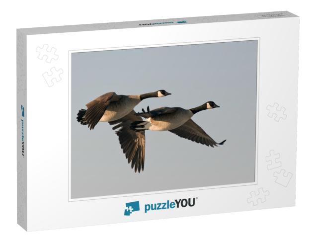 Pair of Flying Geese... Jigsaw Puzzle