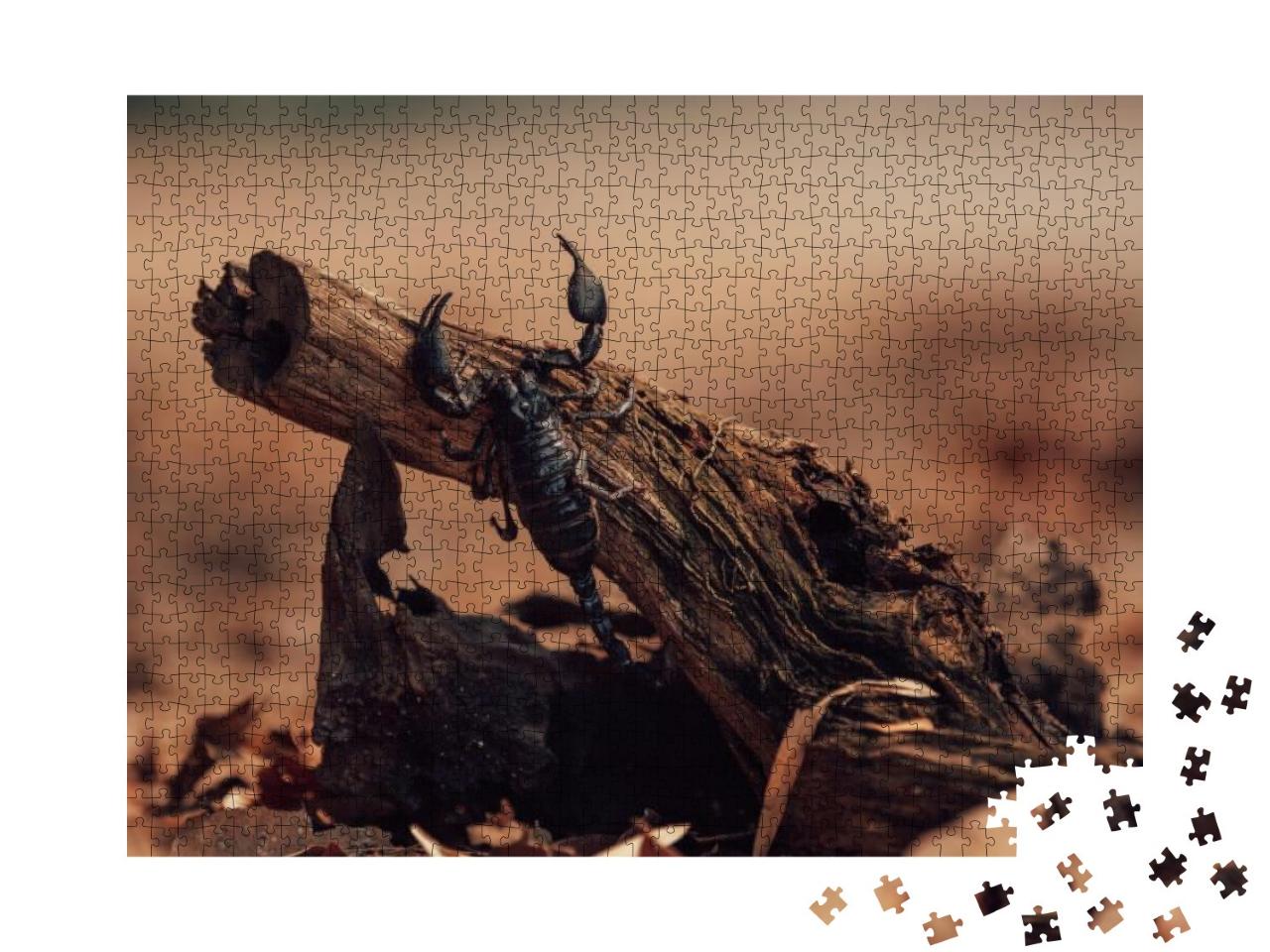 Giant Forest Scorpion Heterometrus Black on Wood... Jigsaw Puzzle with 1000 pieces