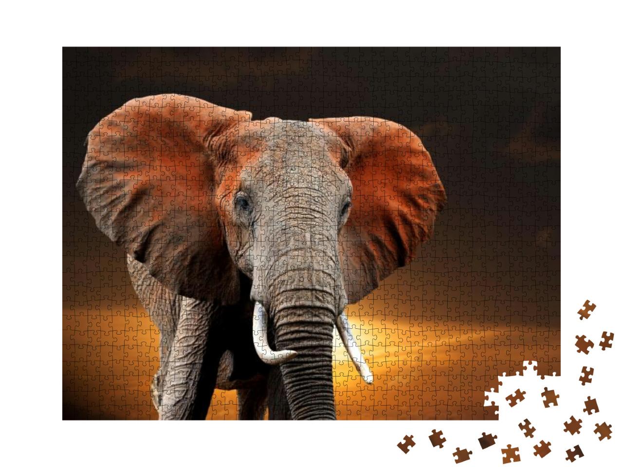 Elephant on Sunset in National Park of Kenya, Africa... Jigsaw Puzzle with 1000 pieces