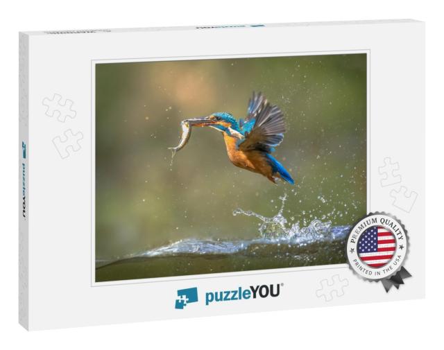 Common European Kingfisher Alcedo Atthis. River Kingfishe... Jigsaw Puzzle