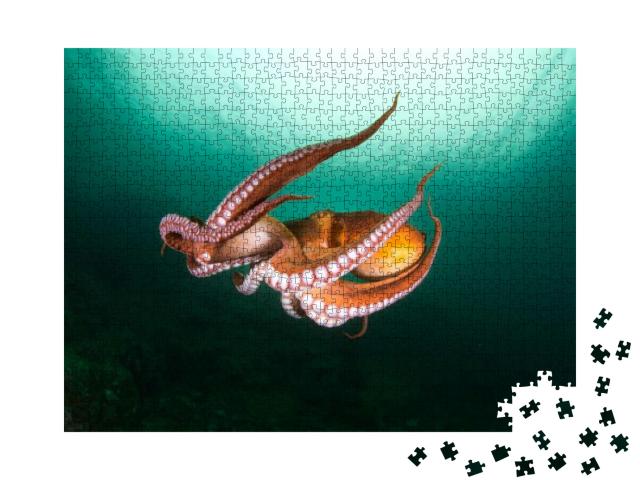 Flight of Octopus in the Deep Ocean... Jigsaw Puzzle with 1000 pieces