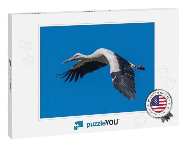 White Stork Flying... Jigsaw Puzzle